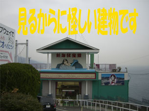 ���낢��������E�E�E